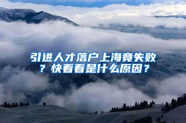 引进人才落户上海竟失败？快看看是什么原因？