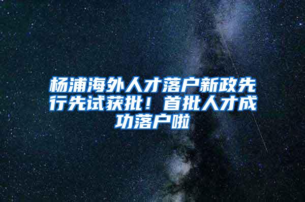 杨浦海外人才落户新政先行先试获批！首批人才成功落户啦