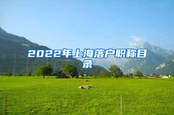 2022年上海落户职称目录