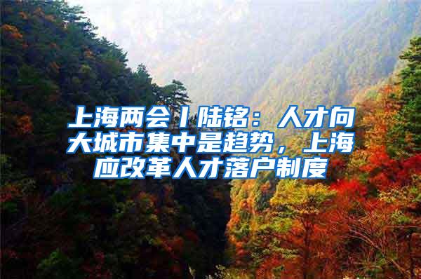 上海两会丨陆铭：人才向大城市集中是趋势，上海应改革人才落户制度