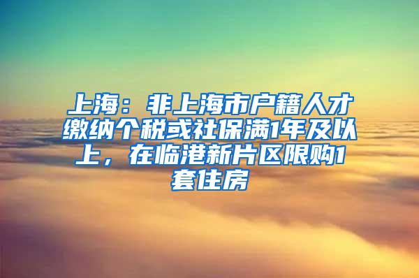 上海：非上海市户籍人才缴纳个税或社保满1年及以上，在临港新片区限购1套住房