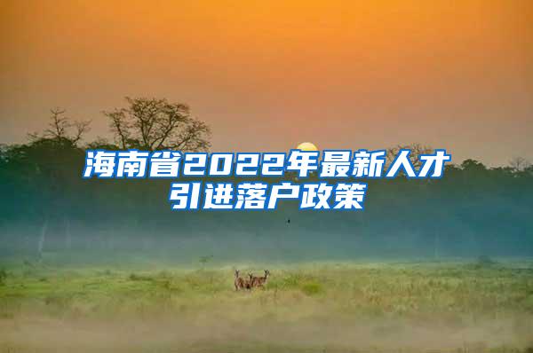 海南省2022年最新人才引进落户政策