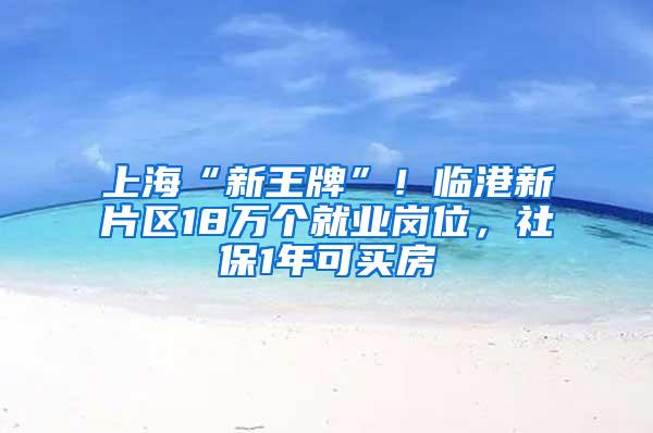 上海“新王牌”！临港新片区18万个就业岗位，社保1年可买房