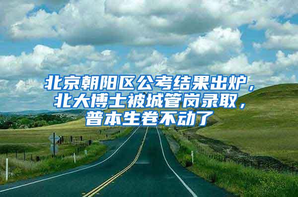 北京朝阳区公考结果出炉，北大博士被城管岗录取，普本生卷不动了