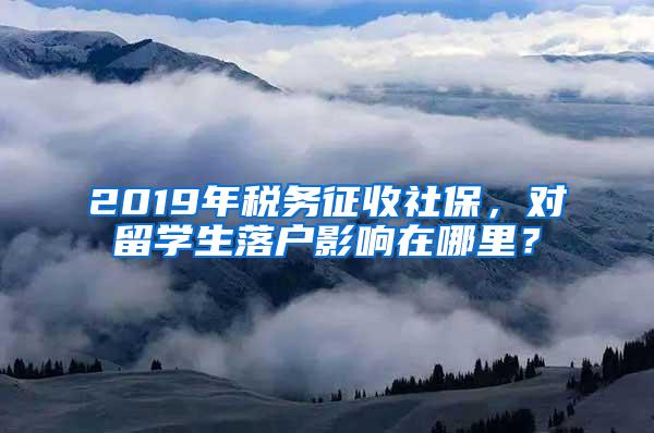 2019年税务征收社保，对留学生落户影响在哪里？