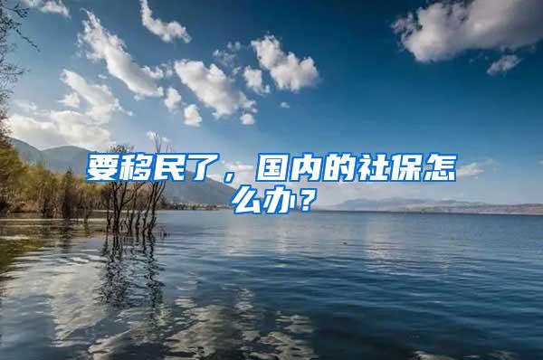 要移民了，国内的社保怎么办？