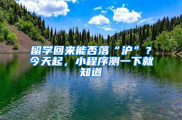 留学回来能否落“沪”？今天起，小程序测一下就知道