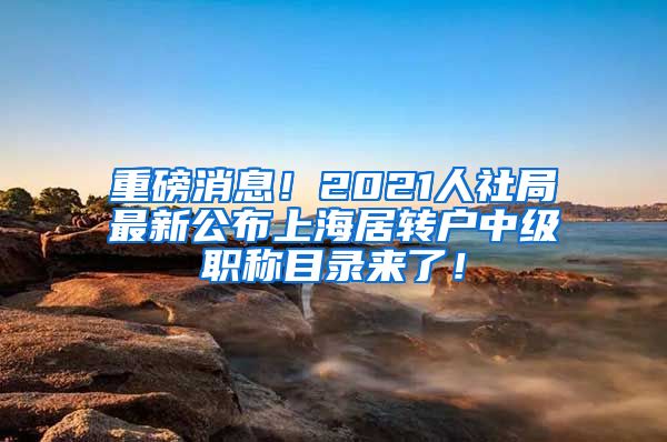 重磅消息！2021人社局最新公布上海居转户中级职称目录来了！