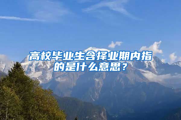 高校毕业生含择业期内指的是什么意思？