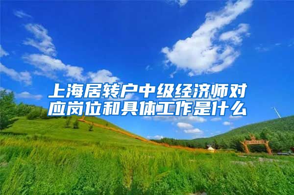 上海居转户中级经济师对应岗位和具体工作是什么