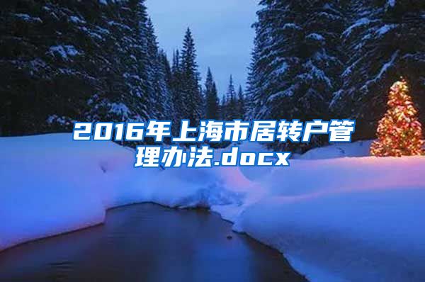2016年上海市居转户管理办法.docx