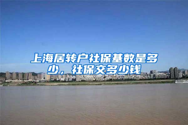 上海居转户社保基数是多少，社保交多少钱