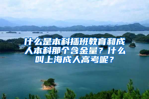 什么是本科插班教育和成人本科那个含金量？什么叫上海成人高考呢？