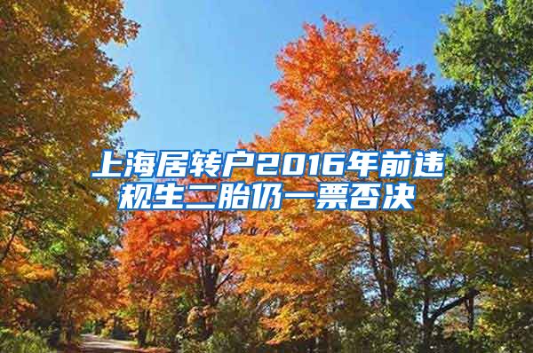 上海居转户2016年前违规生二胎仍一票否决