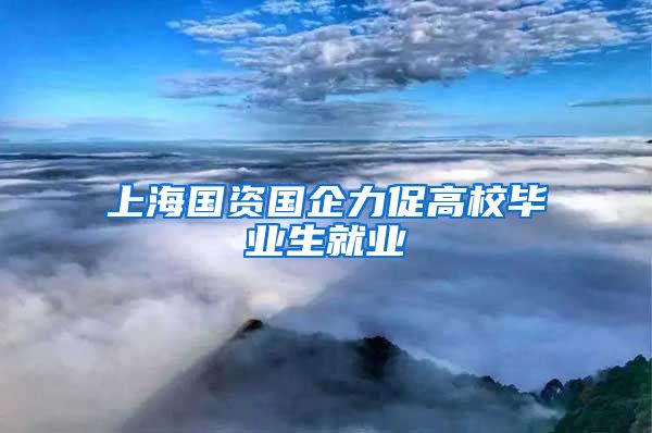 上海国资国企力促高校毕业生就业