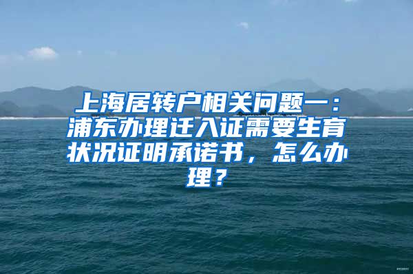 上海居转户相关问题一：浦东办理迁入证需要生育状况证明承诺书，怎么办理？