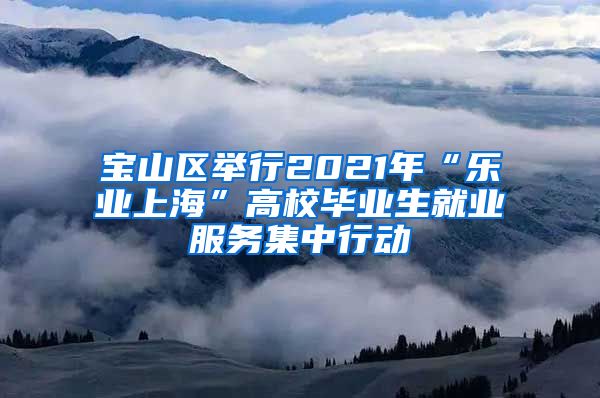 宝山区举行2021年“乐业上海”高校毕业生就业服务集中行动