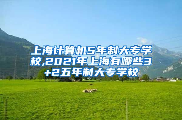 上海计算机5年制大专学校,2021年上海有哪些3+2五年制大专学校