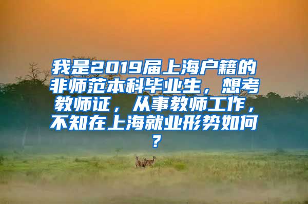 我是2019届上海户籍的非师范本科毕业生，想考教师证，从事教师工作，不知在上海就业形势如何？
