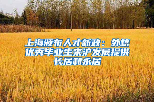 上海颁布人才新政：外籍优秀毕业生来沪发展提供长居和永居