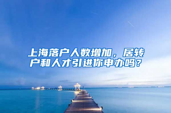 上海落户人数增加，居转户和人才引进你申办吗？