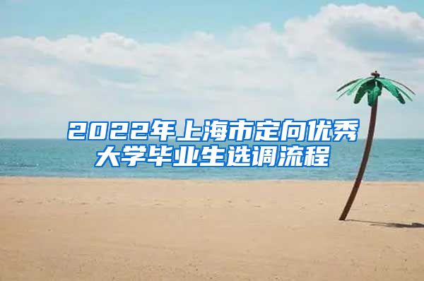 2022年上海市定向优秀大学毕业生选调流程