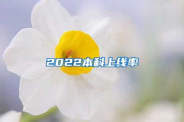 2022本科上线率