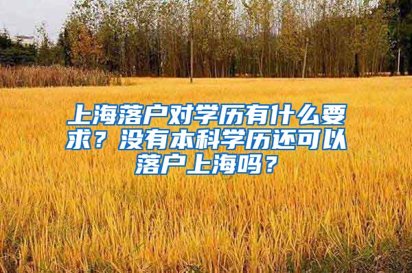 上海落户对学历有什么要求？没有本科学历还可以落户上海吗？