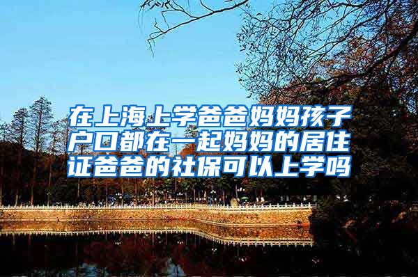 在上海上学爸爸妈妈孩子户口都在一起妈妈的居住证爸爸的社保可以上学吗