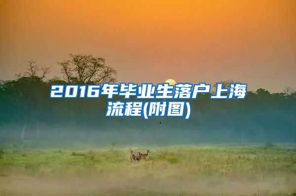 2016年毕业生落户上海流程(附图)