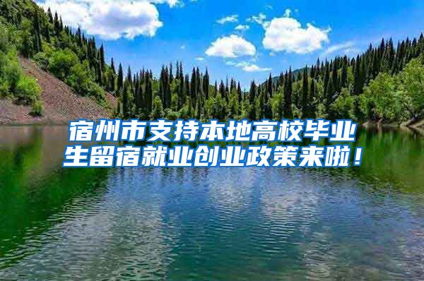 宿州市支持本地高校毕业生留宿就业创业政策来啦！