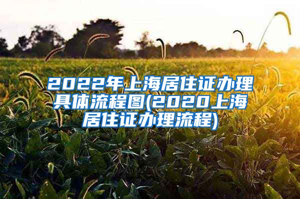 2022年上海居住证办理具体流程图(2020上海居住证办理流程)