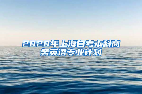 2020年上海自考本科商务英语专业计划