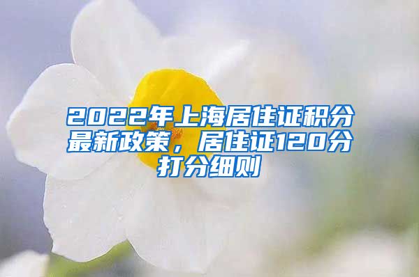 2022年上海居住证积分最新政策，居住证120分打分细则