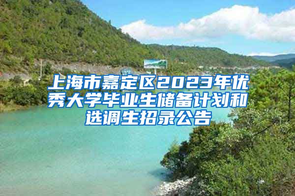 上海市嘉定区2023年优秀大学毕业生储备计划和选调生招录公告