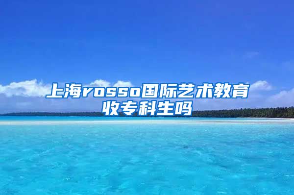 上海rosso国际艺术教育收专科生吗