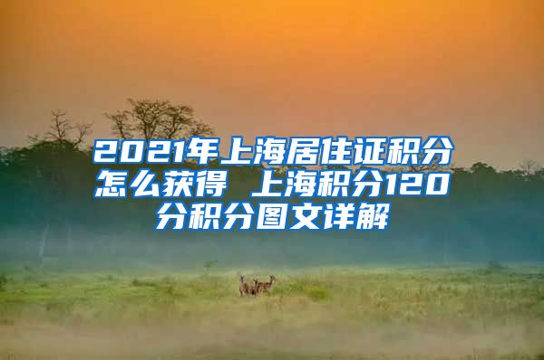2021年上海居住证积分怎么获得 上海积分120分积分图文详解