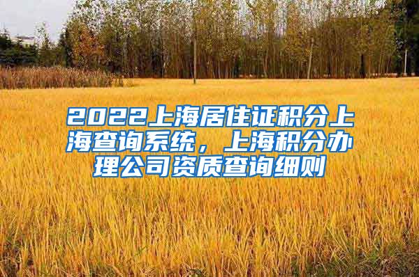 2022上海居住证积分上海查询系统，上海积分办理公司资质查询细则