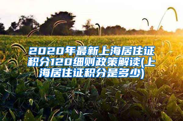 2020年最新上海居住证积分120细则政策解读(上海居住证积分是多少)