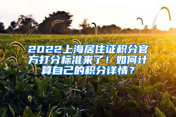 2022上海居住证积分官方打分标准来了！如何计算自己的积分详情？