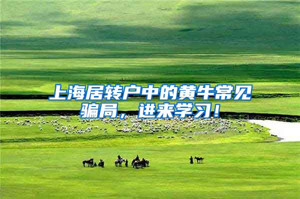上海居转户中的黄牛常见骗局，进来学习！
