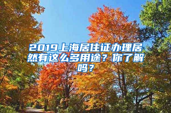 2019上海居住证办理居然有这么多用途？你了解吗？