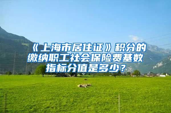 《上海市居住证》积分的缴纳职工社会保险费基数指标分值是多少？