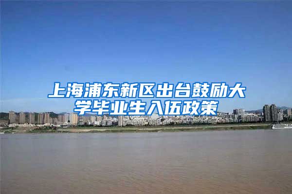 上海浦东新区出台鼓励大学毕业生入伍政策