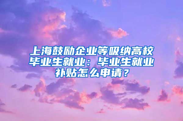 上海鼓励企业等吸纳高校毕业生就业：毕业生就业补贴怎么申请？