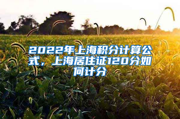 2022年上海积分计算公式，上海居住证120分如何计分