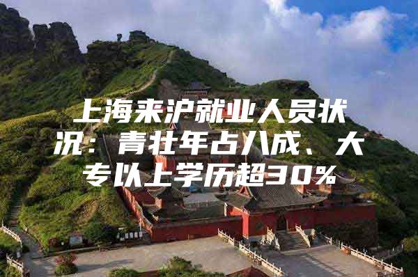 上海来沪就业人员状况：青壮年占八成、大专以上学历超30%