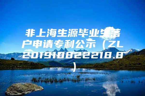 非上海生源毕业生落户申请专利公示（ZL201910822218.8）