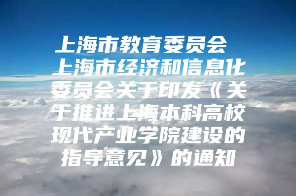上海市教育委员会 上海市经济和信息化委员会关于印发《关于推进上海本科高校现代产业学院建设的指导意见》的通知