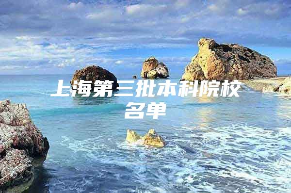 上海第三批本科院校名单